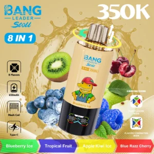 Bang Leader 350k Puffs Disposable Vape device detail 3