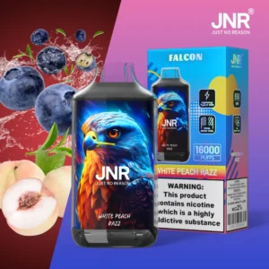 Jnr Falon 16k Puffs Disposable Vape device detail 2