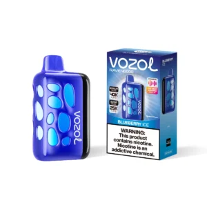 Vozol Rave Blueberry Ice Disposable Vape device