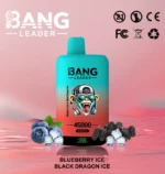 Bang Leader 45.000 Züge – Einweg-E-Zigarettengerät
