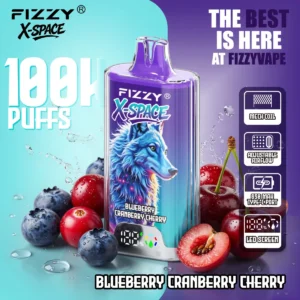 Fizzy X Space Blackberry Disposable Vape device