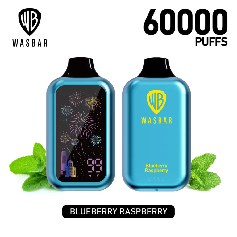 Détails du dispositif de vapotage jetable Wasbar Puffs 2