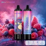 Dispositivo de vapeo desechable Bang De 120k Blueberry