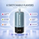 Bang King 360k 6in1 Disposable Vape device detail