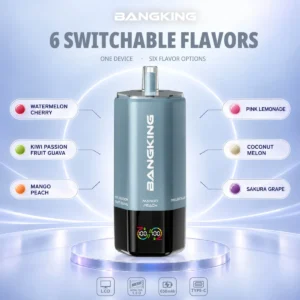 Bang King 360k 6in1 Disposable Vape device detail