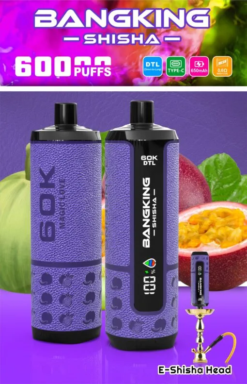 Bang King Shisha Puffs Disposable Vape device detail