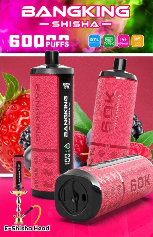 Bang King Shisha Puffs Disposable Vape device view