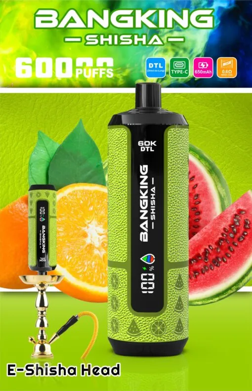 Bang King Shisha Puffs Disposable Vape device detail 2