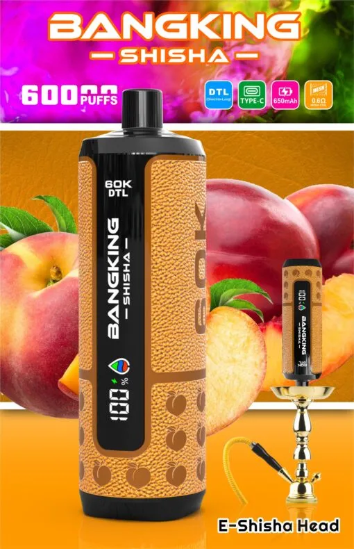 Bang King Shisha Puffs Disposable Vape device view 2