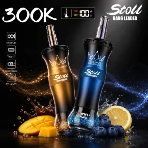 Bang Leader 300k Einweg-Vape-Gerät – Design 3