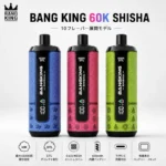 Bangking 60 Shisha Disposable Vape device